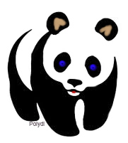 Panda Bear with Blue Eyes