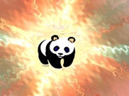 Panda Bear Transformation