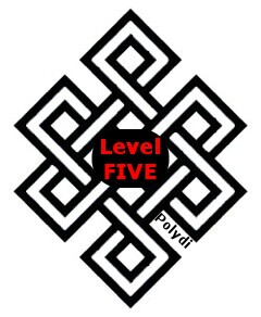 Polydi Rules Level 5